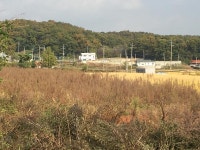 부동산거래정보-판매 내용 | 강화군청>군민참여>알뜰장터