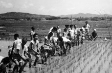 근대/현대 목록 | history>사진집