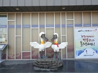 사진첩-자연사박물관 새로운 포토존 저어새 내용 | 강화 강화 자연사 박물관>열린마당