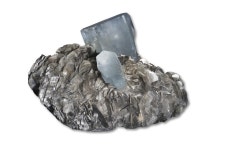 소장유물-남옥 내용 | 강화 강화 자연사 박물관>유물