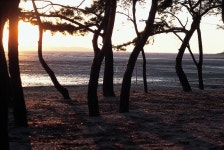 군정뉴스-노을이 아름다운 ‘강화’로 여행을... 내용 | 강화 열린군수실>군정24 강화열린군수실