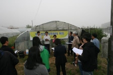 보도자료-강화속노랑고구마 육묘농장 현장기술연찬 내용 | 강화군청>강화소개>강화소식