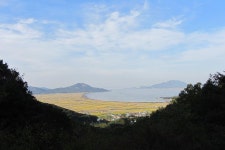 보도자료-가족과 함께 2015년 을미년 새해 설계는 석모도 자연휴양림에서 하세요! 내용 | 강화군청>강화소개>강화소식