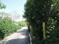 보도자료-EBS 숨은 한국 찾기에서 추천한 강화나들길 6코스 내용 | 강화군청>강화소개>강화소식