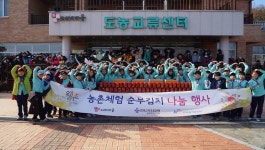 보도자료-강화 도래미마을, 웰촌 농촌체험 순무김치 나눔 행사 가져 내용 | 강화군청>강화소개>강화소식