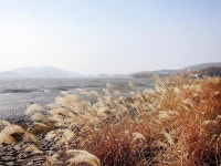 보도자료-길상면, 강화나들길 8코스 새단장 내용 | 강화군청>강화소개>강화소식