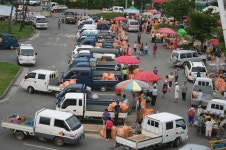 보도자료-강화군, 고추시장 개장 내용 | 강화군청>강화소개>강화소식