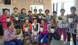 보도자료-강화군노인복지관, 경로당에 힐링 원예 특강 실시! 내용 | 강화군청>강화소개>강화소식