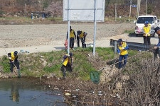보도자료-양사면 노인자원봉사클럽, 영농철 환경정화 활동 펼쳐 내용 | 강화군청>강화소개>강화소식
