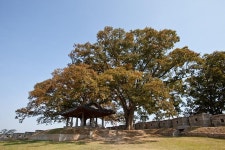 보도자료-강화군-한국관광공사, ‘연미정 모바일게임’ 관광콘텐츠 공동 개발 내용 | 강화군청>강화소개>강화소식