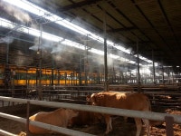 보도자료-강화군, 축사 냄새~OUT 농업미생물로 잡으세요 내용 | 강화군청>강화소개>강화소식