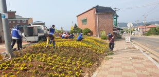 군정뉴스-교동면 5개 단체, 관내 꽃동산 정비 실시 내용 | 강화 열린군수실>군정24 강화열린군수실