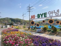 보도자료-불은면, 대청교 화단 어린이날 맞이 봄 꽃 활짝 내용 | 강화군청>강화소개>강화소식