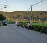 군정뉴스-양사면 덕하3리, 깨끗한 마을가꾸기 환경정화활동 펼쳐 내용 | 강화 열린군수실>군정24 강화열린군수실