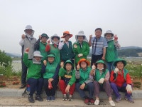 보도자료-송해면 새마을 부녀회‘봄맞이 꽃길 가꾸기’구슬땀 내용 | 강화군청>강화소개>강화소식