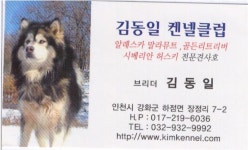 문화/예술/취미-김켄넬 내용 | 강화군청>분야별정보>지역정보>지역정보서비스