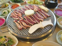 음식/카페-푸른솔가든 내용 | 강화군 읍·면>참여공간>지역정보서비스