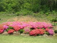숙박/여행/레저-천은제 내용 | 강화군 읍·면>참여공간>지역정보서비스