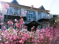 민박/펜션-다향펜션 내용 | 강화군 문화관광>음식/숙박/쇼핑>잠자리