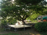 숙박/여행/레저-가정민박 내용 | 강화군 읍·면>참여공간>지역정보서비스