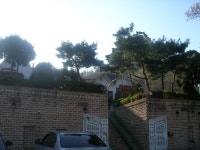 숙박/여행/레저-깔끄막 희컨집 내용 | 강화군 읍·면>참여공간>지역정보서비스