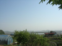 숙박/여행/레저-미루지 민박 내용 | 강화군 읍·면>참여공간>지역정보서비스