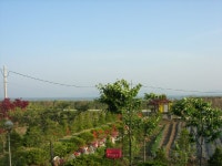 숙박/여행/레저-비치 내용 | 강화군 읍·면>참여공간>지역정보서비스