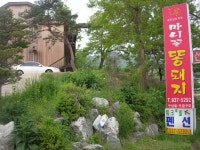 숙박/여행/레저-마니꼴똥돼지 펜션 내용 | 강화군 읍·면>참여공간>지역정보서비스