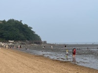 전체보기-동막해변 내용 | 강화군 문화관광>강화둘러보기>명소