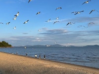 전체보기-동막해변 내용 | 강화군 문화관광>강화둘러보기>명소