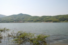 전체보기-생태문화로(국화저수지) 내용 | 강화군 문화관광>강화둘러보기>명소