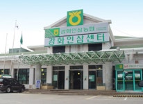 강화읍 | 강화평화빌리지 > 여행안내 > 즐길거리