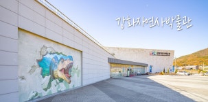 인천광역시 강화군청 문화관광