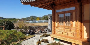 강진군별바라기 별바라기