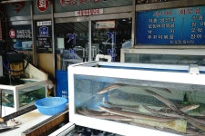 강진군거북횟집 거북횟집