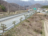 강진군, 국도 13호선 가로수 전정작업 실시 - 강진군청 강진군, 국도 13호선 가로수 전정작업 실시