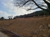 강진군영동리 밭 매매합니다 영동리 밭 매매합니다
