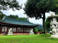 강진여행추천코스  강진미술관과 사의재저잣거리공연 - 강진군청 강진여행추천코스  강진미술관과 사의재저잣거리공연