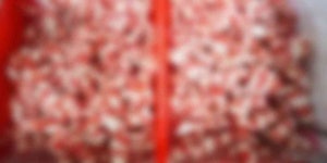 강진군무한삼겹시대 무한삼겹시대