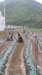 강진군항골 이장님 때문에 행복합니다 항골 이장님 때문에 행복합니다
