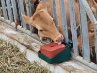 강진군[다산축산기자재] 축산용품 판매합니다. [다산축산기자재] 축산용품 판매합니다.