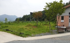 4.27. 바라밀강진실버하우스 녹색복지 숲 조성 박차 - 강진군청 4.27. 바라밀강진실버하우스 녹색복지 숲 조성 박차