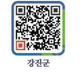 금두꺼비 - 강진군청 금두꺼비