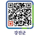 태광상회(노점) - 강진군청 태광상회(노점)