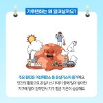 강남구 주민센터 > 신사동 > 우리동이야기 > 새소식