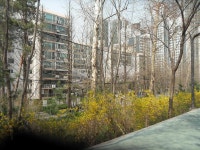 32-내-241 | 강남구청 > 분야별정보 > 환경/청소 > 기념식수 나무찾기