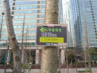 43-내-177 | 강남구청 > 분야별정보 > 환경/청소 > 기념식수 나무찾기