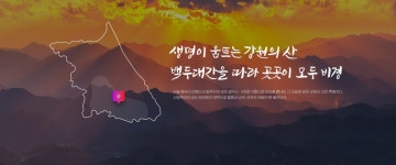 TOUR 강원 | 강원관광 > TOUR 강원 강원관광