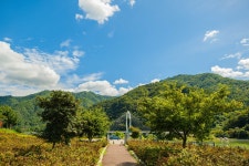 관광지 - 산소길 상세화면 | 강원관광 > ONLY 강원 > 관광지 강원관광