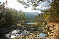 관광지 - 월정사 전나무숲길 상세화면 | 강원관광 > ONLY 강원 > 관광지 강원관광